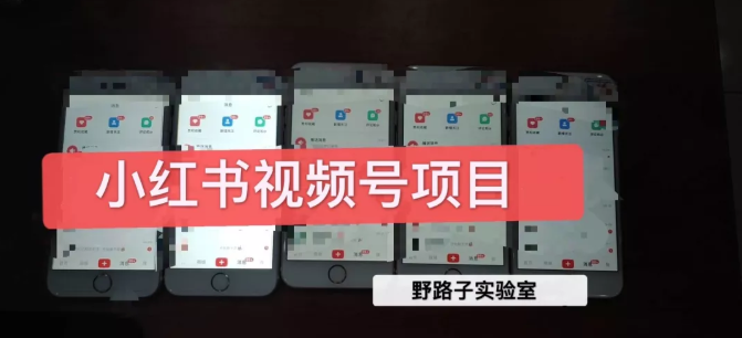 野路子小红书视频号1.0项目，直接上手操作就能赚钱的视频号项目资料-资料聚-淘金-淘金阁-网上教程第一资源库
