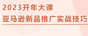 2023亚马逊新品推广实战技巧,线下百万美金课程的精简版,简单粗暴可复制,实操性强的推广手段资料-资料聚-淘金-淘金阁-网上教程第一资源库