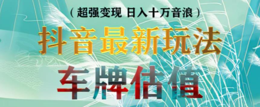 抖音最新无人直播变现直播车牌估值玩法项目，轻松日赚几百+【详细玩法教程】资料-资料聚-淘金-淘金阁-网上教程第一资源库