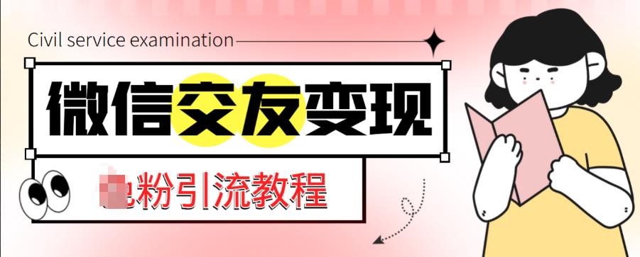 微信交友变现项目，吸引全网LSP男粉精准变现，小白也能轻松上手，日入500+资料-资料聚-淘金-淘金阁-网上教程第一资源库