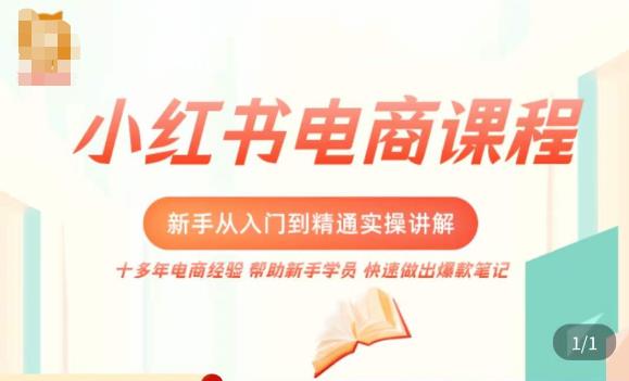 小红书电商新手入门到精通实操课，从入门到精通做爆款笔记，开店运营资料-资料聚-淘金-淘金阁-网上教程第一资源库