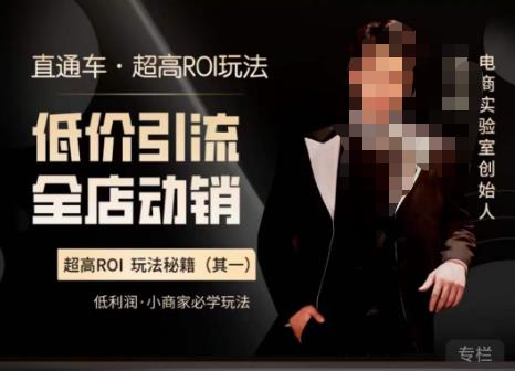 电商冰可乐·直通车·《低价引流·全店动销》，直通车·超高ROI玩法（其一）全店动销必学玩法资料-资料聚-淘金-淘金阁-网上教程第一资源库